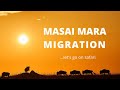 Masai Mara Migration - let&#39;s go on safari