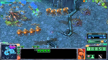 Nydus Network Pathing Bug