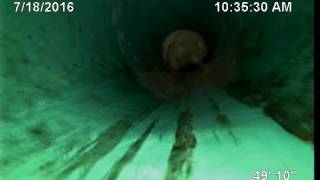 Chris   Sewer Line   Cedar St   07182016