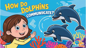 🌟 How Do Dolphins Communicate? 🐬 🌟