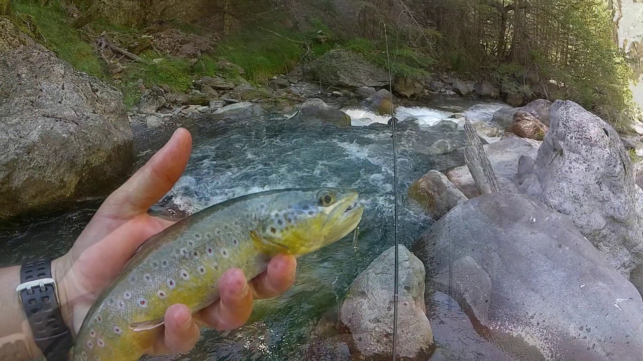 2019 - Pêche dans un torrent sauvage des hautes-alpes