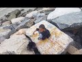 Beach | Sea | Ameer | Waves | Bengal Bay | Vedharanyam | Nagapattinam