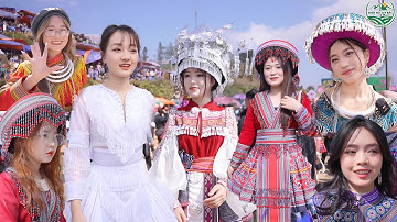 Lễ hội gầu tào pha long gái xinh đua nhau đi kếm chồng