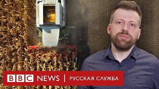 Грозит ли миру голод из-за войны в Украине, и кого он может коснуться? | Би-би-си объясняет