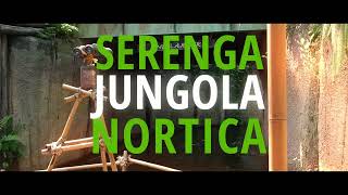 Wildlands Zoo Emmen Nederland Mooiste Dierentuin In Nederland?