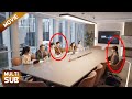 【FULL】离异单身妈妈一个善意举动改变她的命运,被CEO看中,直接当上老板娘!#chinesedrama