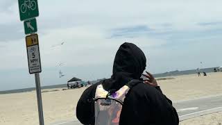 Flying a Kite in Belmont Shore Beach