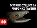 ЖУТКИЕ СУЩЕСТВА МОРСКИХ ГЛУБИН 2 часть #ИФ