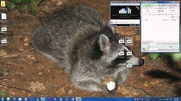 MPC-HC Looper Additions