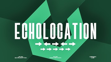 [Bonus] OPEN HEXAGON 1.92: Echolocation - What