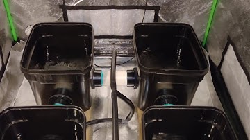DIY RDWC PA Hydroponics Waterfall System clone setup and running. DWC Hydro