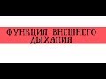 ФВД (спирометрия) показатели в норме и при патологии - meduniver.com