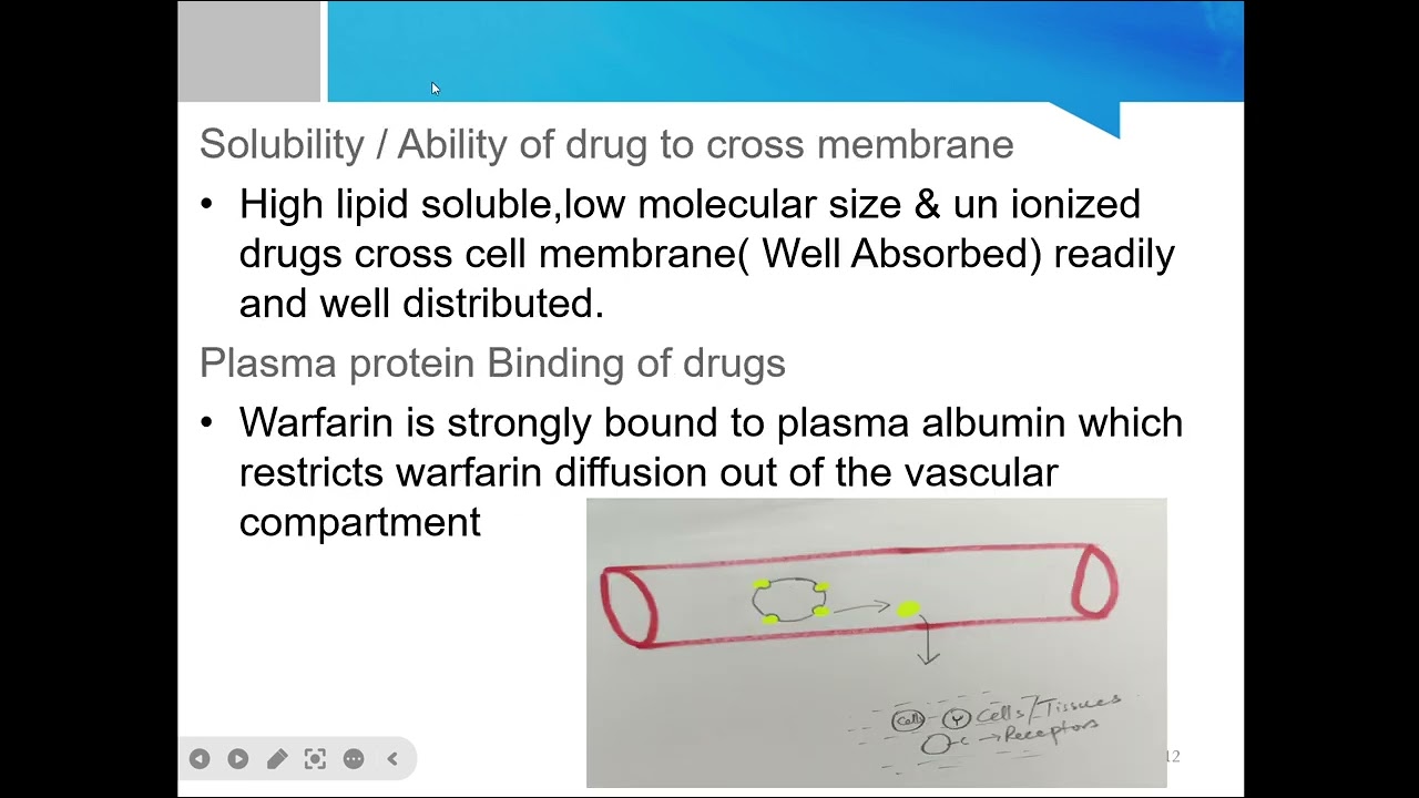 Distribution of Drugs