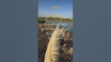 يا أيتها النفس المطمئنة | سورة الفجر الآيات ٢٧  ٢٨  ٢٩  ٣٠ | القارئ: الحاج عامر الكاظمي