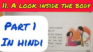 11. A LOOK INSIDE THE BODY EXPLAINED IN HINDI - PART 1 - CLASS 4 EVS CHAPTER 11 - MAHARASHTRA BOARD