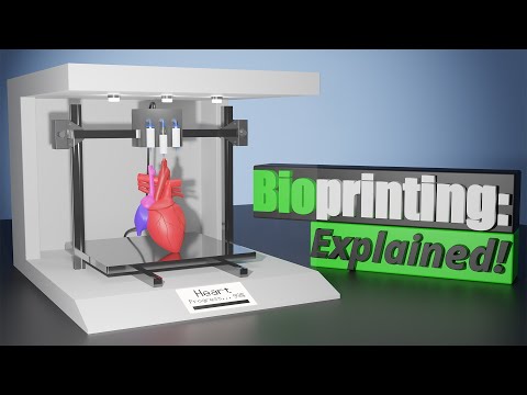 What 3D Bioprinting Is and How It Works