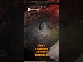 Тайный проход, духи и битва. Что ждет за воротами Халани  #pathofexile2 #poe2