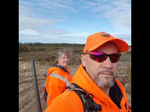 Short Moose Hunt-Day 2,NL