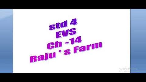 Std 4 EVS chapter 14 Raju