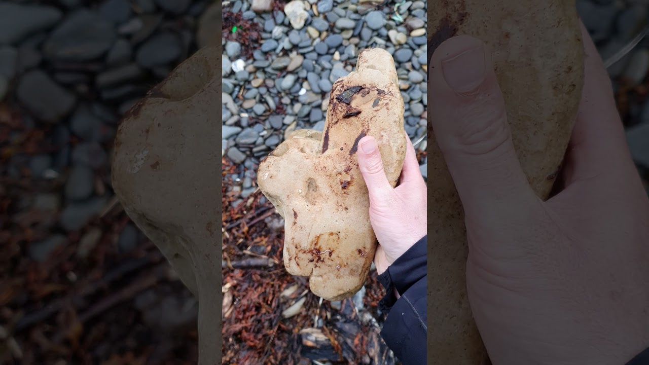 The way this piece of sandstone has eroded gives it a very organic look. 