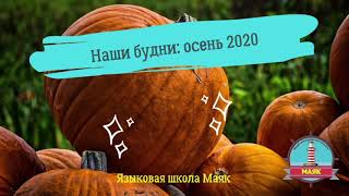 Языковая школа Маяк Липецк / сентябрь - ноябрь 2020