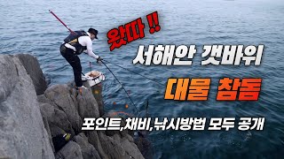 서해 갯바위 대물 참돔 (구독자분중 한분 추첨 감사 선물로 다이와 소품 증정)
