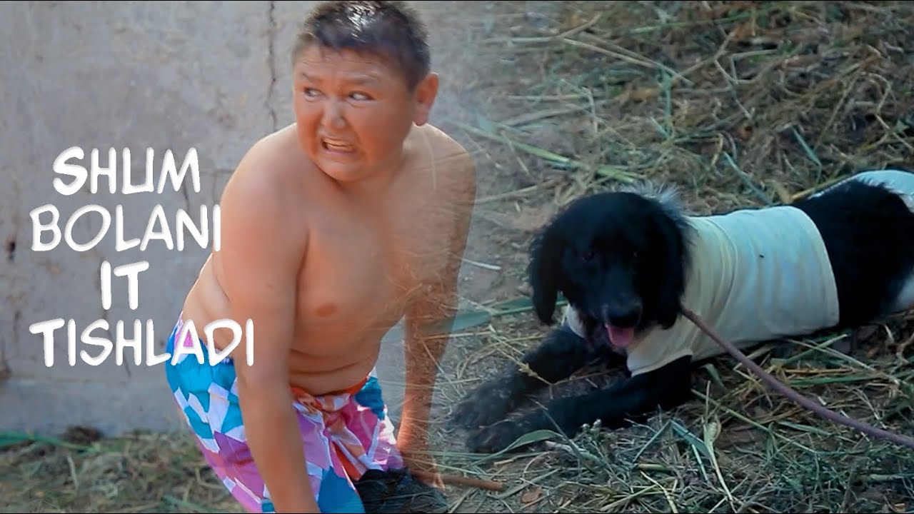 Shum bolani it Chishladi | Шум болани ит тишлади