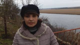 Посадка растений на склоне Посадка растений на склоне