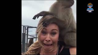 Best Scare cams - Try Not To Laugh - Funny Videos 2022 Best Funny Videos😆😂🤣