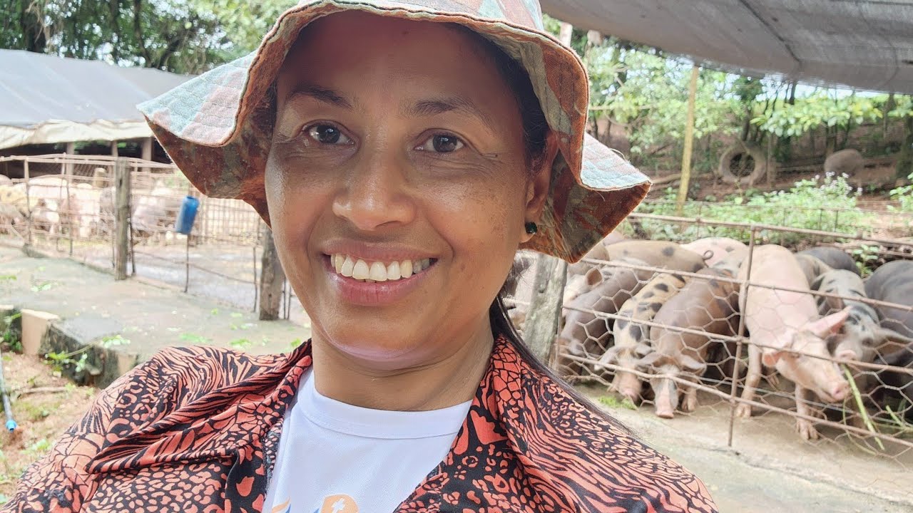 ALIMENTANDO SUINOS COM BAIXO CUSTO.