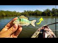 Will the livetarget pinfish catch big snook lure review
