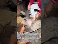 경이로운 고온의 세계! 황동 접시가 만들어지는 놀라운 과정 #worker #process #incredible #amazing #hotmetal