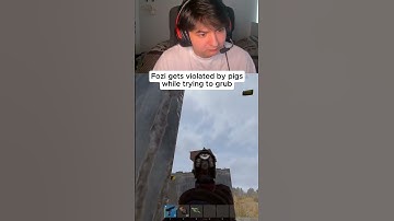 i hate pigs in Rust #rustgame #rustfunnymoments #rustconsole #rustclips #fozo