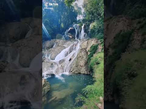Wonderland Indonesia Compilation on Tik Tok - Alffy Rev ft. Novia Bachmid (Part 1)