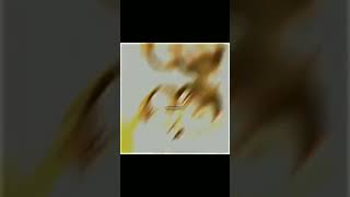 Arkadaşlkları Şfet