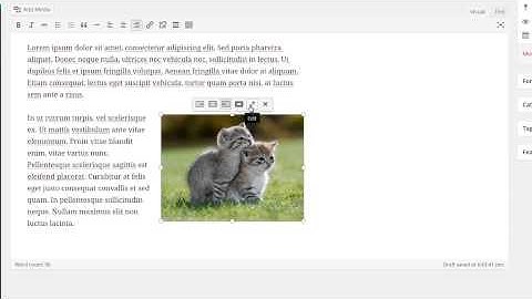 WordPress Video Walk-Through Series: Edit image