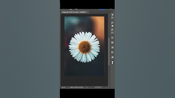 Create your own brush easily in PS!