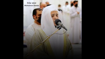 (وأن ليس للإنسان إلا ما سعى) محمد عبادة || حالات واتس قرآن كريم || Quran Kareem - Mohamed Obada