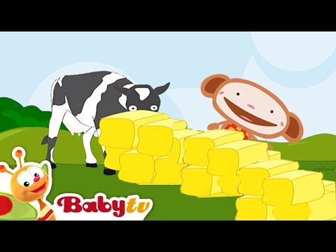 Play Hide and Seek with Oliver - BabyTV