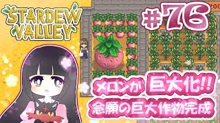 76 Stardew Valley メロンが巨大化 念願の巨大作物 完成 スターデューバレー Switch版 Youtube