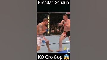 Brendan Schaub Ko
