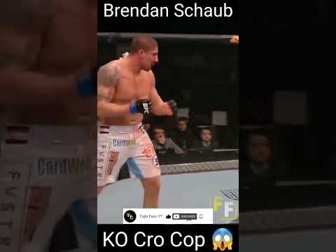 Brendan Schaub Ko's