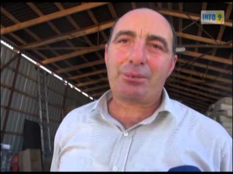 \"გლობალ TV\" ოზურგეთი