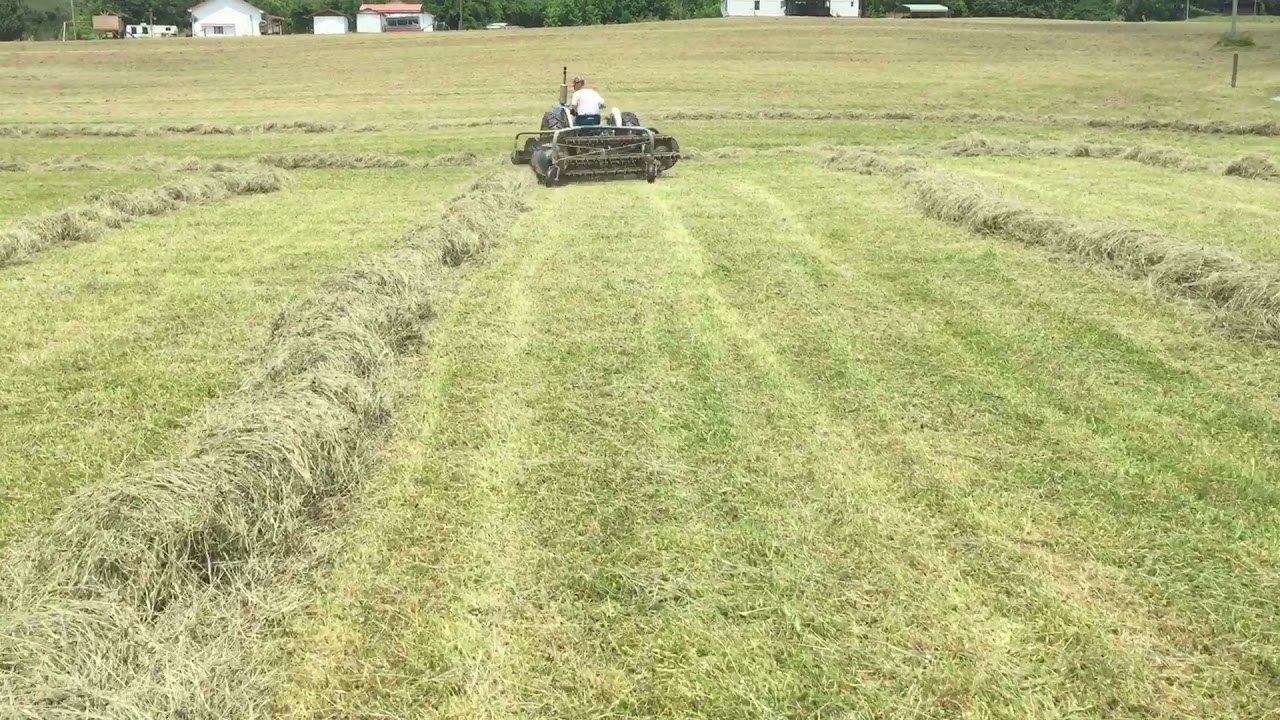 Ford 3000 tractor and 503 hay rake
