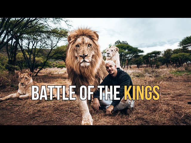 Battle of the Kings - Dean Schneider class=