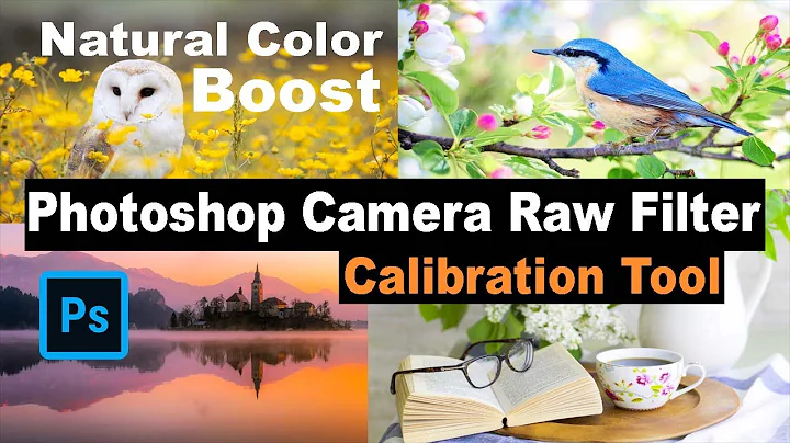 PHOTOSHOP CAMERA RAW FILTER: Natural Color Boost (CALIBRATION TOOL)