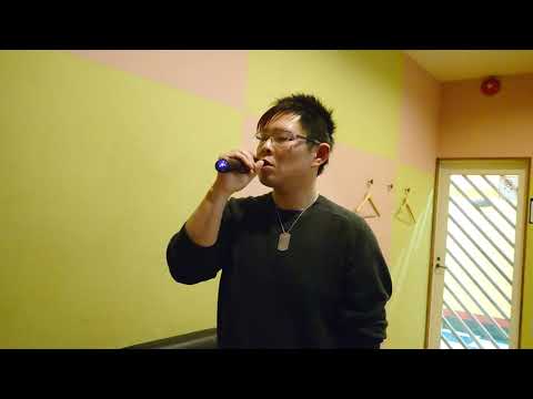 シェネル(Che'Nelle) - Believe オッサンが原キーで歌ってみた