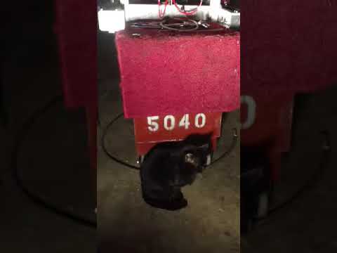 IMG 3748