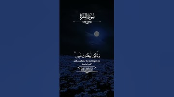 اكتب شيء تؤجر عليه ❤😴 #quran #تلاوة_خاشعة