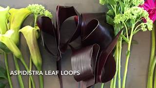 DIY flower adding Aspidistra leaves to your arrangements and bouquets